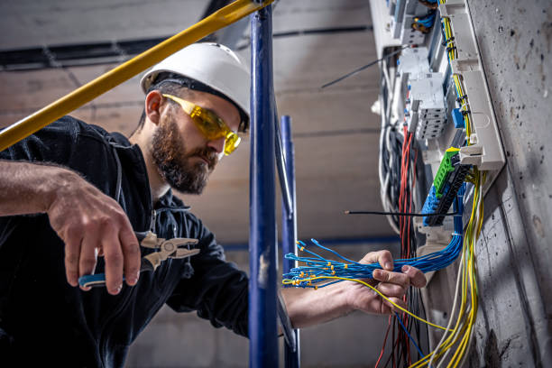 Best Electric Panel Repair  in Ferris, TX